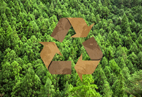 Guía FSC, EUDR y PEFC para la adquisición de suministros de catering desechables